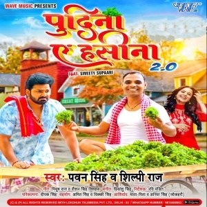 Pudina Ae Hasina 2.0 (Pawan Singh, Shilpi Raj) Hit Mp3 Songs